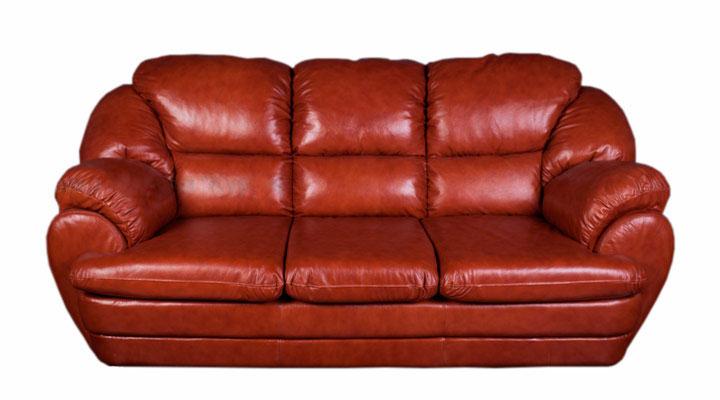 Кожаный двухместный диван Идэн - 2